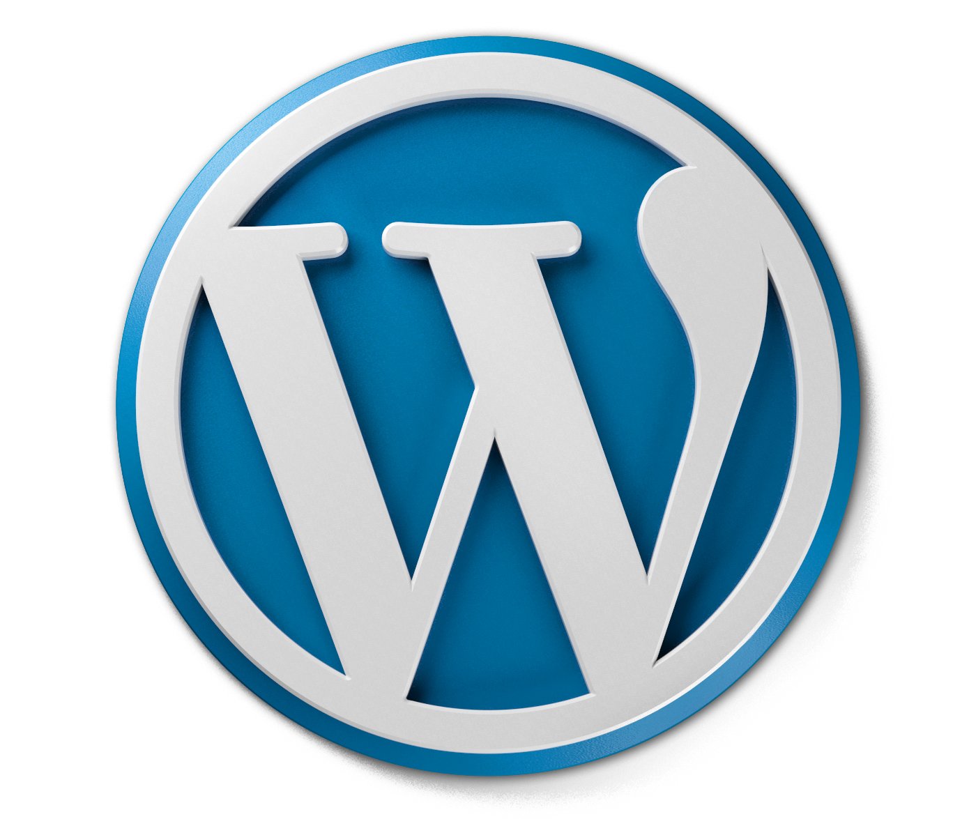 logo-WordPress infogérance
